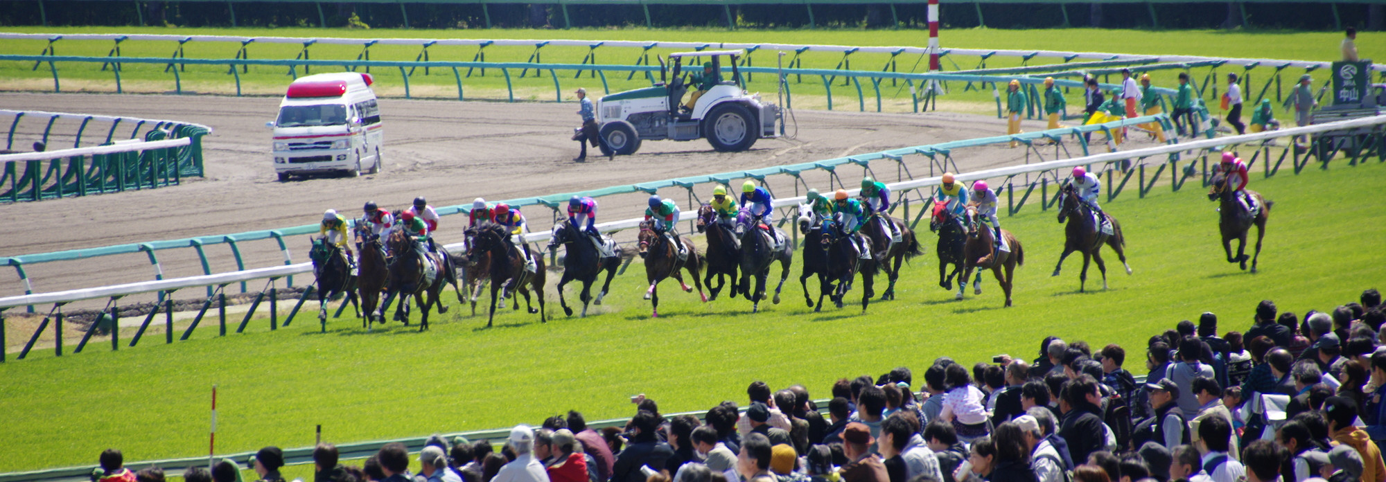 ヘッダー画像 暴露王で競馬の有力情報ゲット